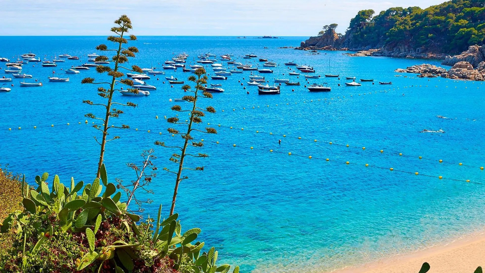 Apartment Cb E-3 - Calella De Palafrugell